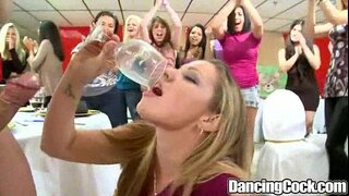 Празник Плес Великог Члана