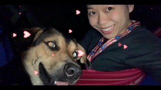 הממשלה האויב שלך &amp;amp; הם קיי. כולנו, אם אתה לא לנקוט בפעולה עכשיו! להפיל את GOVTS &amp;amp; להאיר את כל 5G מגדלים עכשיו לפני שזה קיי.S כולנו!!